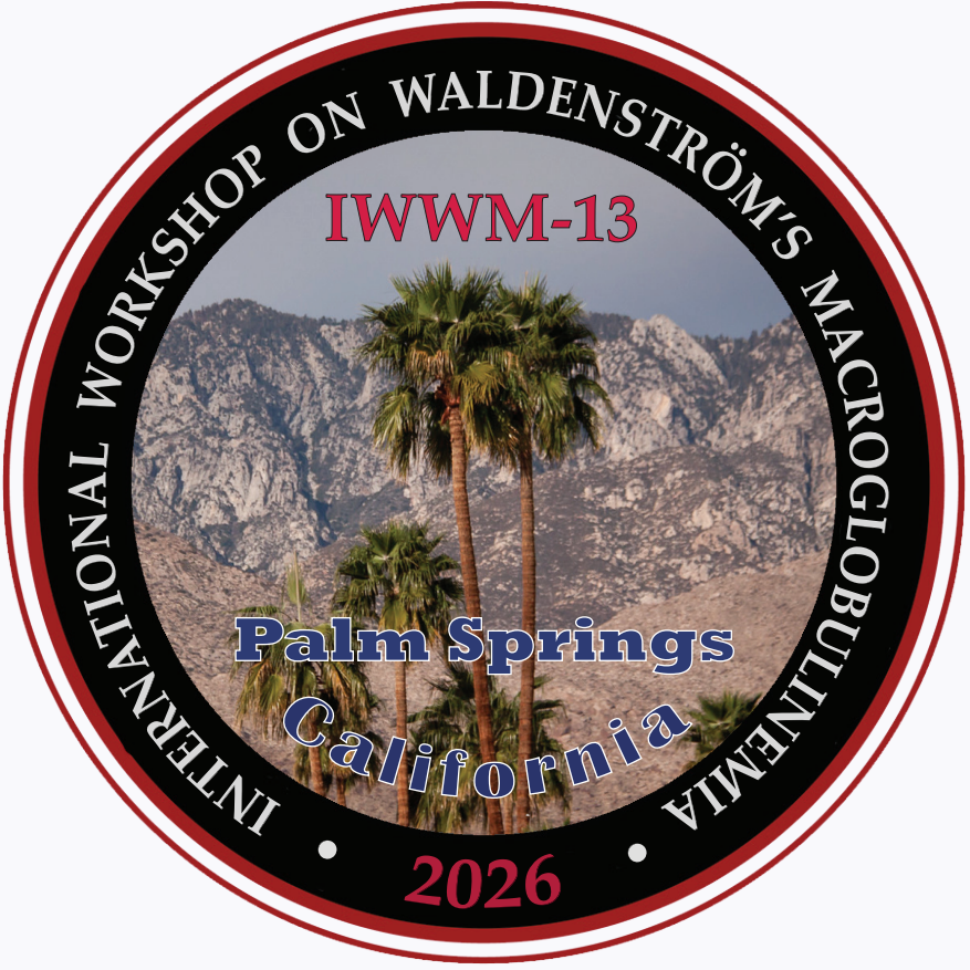 IWWM 13 Logo